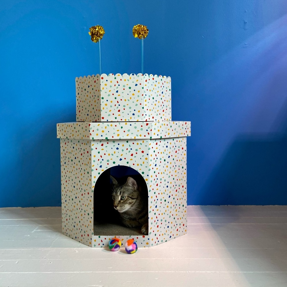 Birthday Cake Cat Scratcher